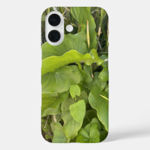 Garten Gartenanlage Gartenanlage Gartenanlage Gart