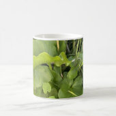 Garten Gartenanlage Gartenanlage Gartenanlage Gart Kaffeetasse (Mittel)