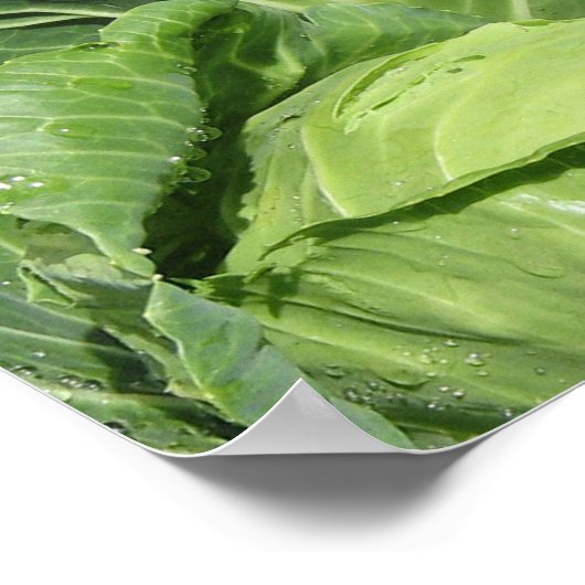 Garten Gemüsegarten Poster (Ecke)