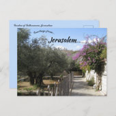Garten Gethsemane Jerusalem 2 Postkarte (Vorne/Hinten)