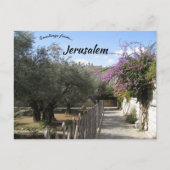 Garten Gethsemane Jerusalem 2 Postkarte (Vorderseite)