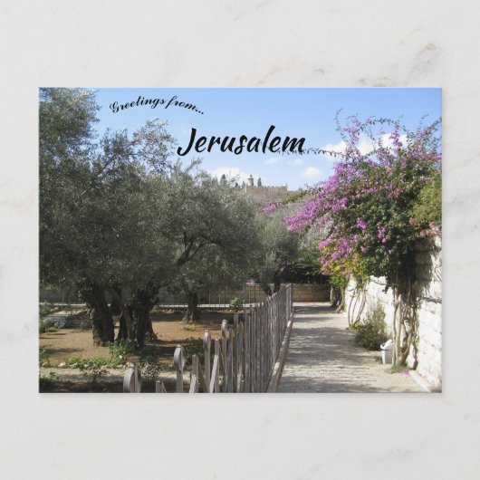 Garten Gethsemane Jerusalem 2 Postkarte (Vorderseite)