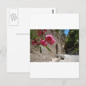 Garten-Grab Jeruselum Isreal Postkarte (Vorne/Hinten)