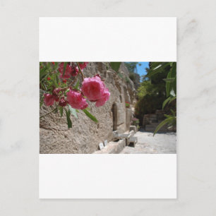 Garten-Grab Jeruselum Isreal Postkarte