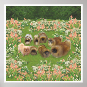 Garten Gruppe Poster
