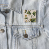 Garten-Gurke, überziehen 4 von "einem neugierigen Button (Beispiel)