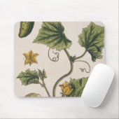 Garten-Gurke, überziehen 4 von "einem neugierigen Mousepad (Mit Mouse)
