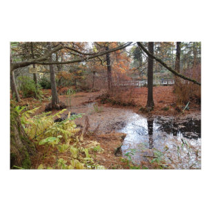 Garten Herbst Bäume und Wasser Teich Pflanzen Szen Fotodruck