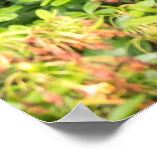 Garten Hintergrund Poster (Ecke)