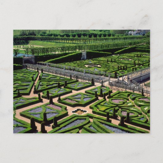Garten im Villandry Chateau, Indre-et-Loire, Postkarte (Vorderseite)