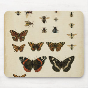 Garten-Insekten durch Visions-Studio Mousepad