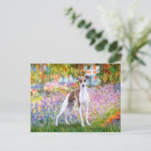 Garten - Italienischer Windhund 7 Postkarte (Stehend Vorderseite)