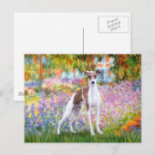 Garten - Italienischer Windhund 7 Postkarte (Vorne/Hinten)