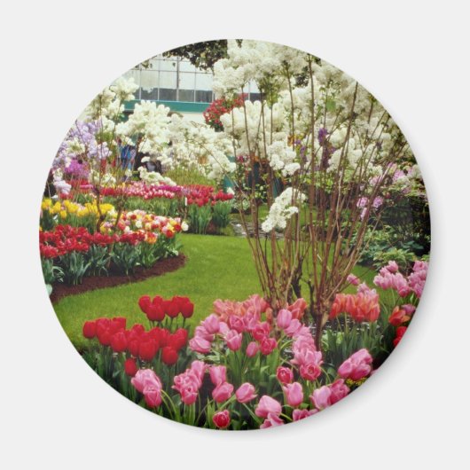 Garten Keukenhof in Lisse, südlich von Amster Magnet (Vorne)