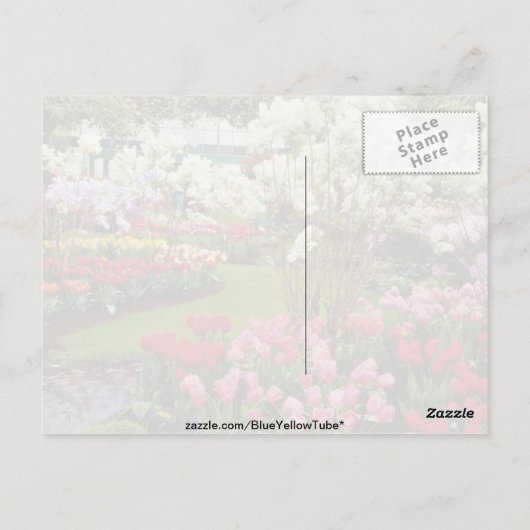 Gärten Keukenhof in Lisse, südlich von Amster Postkarte (Rückseite)