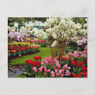 Gärten Keukenhof in Lisse, südlich von Amster Postkarte