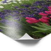 Garten mit Blumen und Blumen, Keukenhof Gardens, Fotodruck (Ecke)