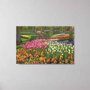 Garten mit Blumen und Blumen, Keukenhof Gardens, Leinwanddruck