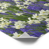 Garten mit Blumen und Blumen, Keukenhof Gardens, Poster (Ecke)