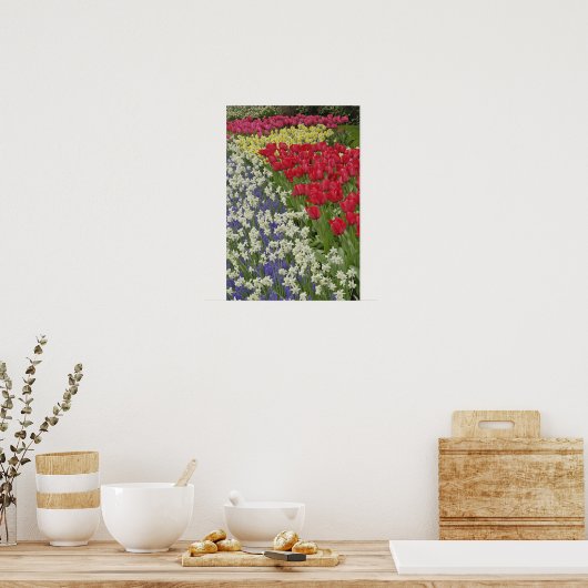 Garten mit Blumen und Blumen, Keukenhof Gardens, Poster (Küche)