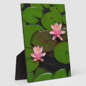 Garten mit Blütenblumen, Rosa Lotus, Fotoplatte (Seite)