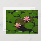 Garten mit Blütenblumen, Rosa Lotus, Postkarte (Vorne/Hinten)