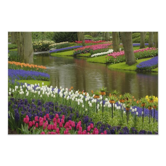 Garten mit Blütenpflanzen, Keukenhof, 2 Fotodruck (Vorne)