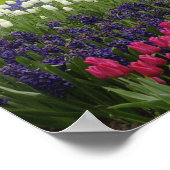 Garten mit Blütenpflanzen, Keukenhof, 2 Poster (Ecke)