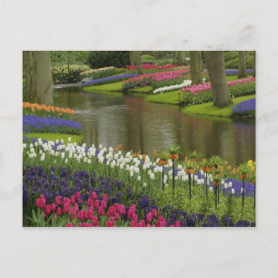 Garten mit Blütenpflanzen, Keukenhof, 2 Postkarte