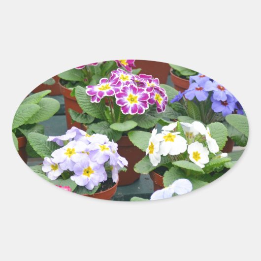 Garten mit farbenfrohen Primaten Ovaler Aufkleber (Vorderseite)