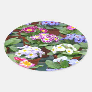 Garten mit farbenfrohen Primaten Ovaler Aufkleber