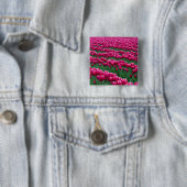 Garten mit Frühlingsblüten-Tulpenzwiebeln in Button (Beispiel)