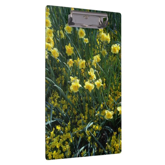 Garten mit gelben Narzissen Klemmbrett (Rechts)