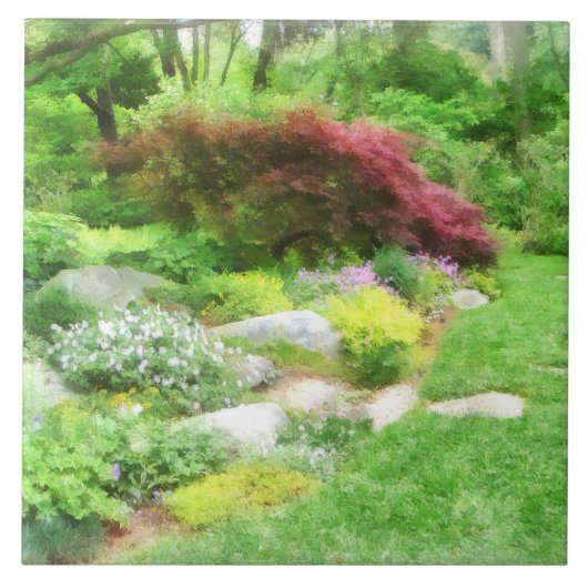 Garten mit japanischem Ahorn Fliese (Vorderseite)