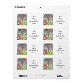 Garten mit Liebe (Vorne)