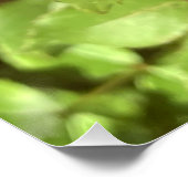 Garten mit orangefarbenen und roten Blumen Poster (Ecke)