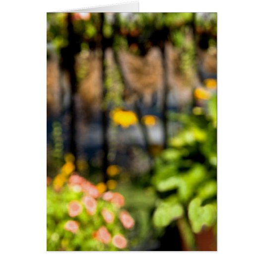Garten mit Schmiedeeisen (Vorne)