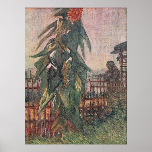 Garten mit Sonnenblume und ein Mädchen von van Gog Poster (Vorne)