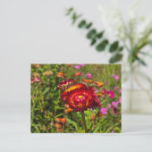 Garten mit Strohblumen Einladungspostkarte (Stehend Vorderseite)