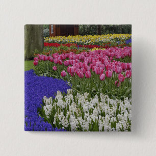 Garten mit Traubenhyazinthen, Hyazinthen und Tulpe Button