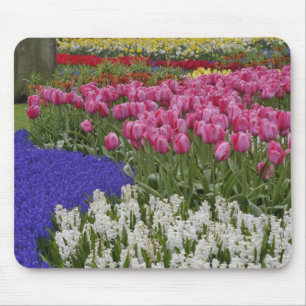 Garten mit Traubenhyazinthen, Hyazinthen und Tulpe Mousepad