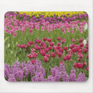 Garten mit Tulpen, daffodils und Hyazinthen Mousepad