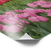 Garten mit Tulpen, Hyazinthen und Fotodruck (Ecke)