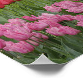 Garten mit Tulpen, Hyazinthen und Poster (Ecke)