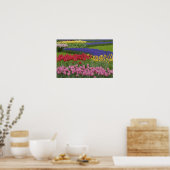 Garten mit Tulpen, Hyazinthen und Poster (Küche)