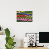 Garten mit Tulpen, Hyazinthen und Poster (Heimbüro)