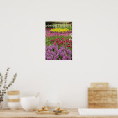 Garten mit Tulpen, Narzissen und Hyazinthen Poster (Küche)