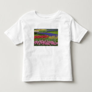 Garten mit Tulpen, Traubenhyazinthen und Kleinkind T-shirt