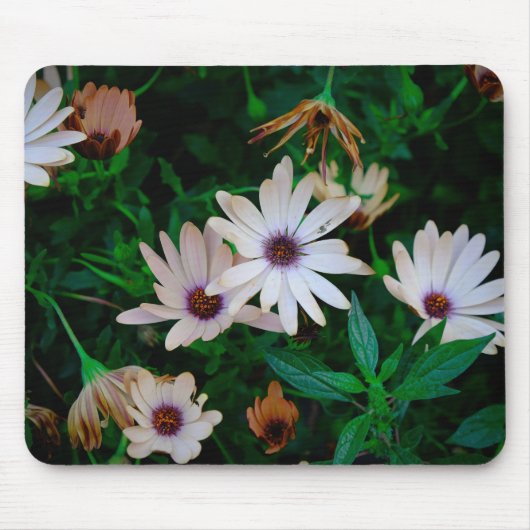 Garten Mousepad (Vorne)