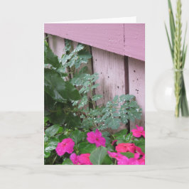 Garten Nach dem Regen - Martha's Vineyard Karte